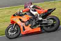 Middle Group Orange Bikes